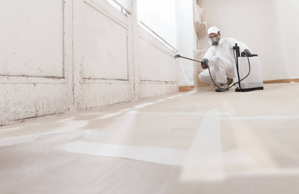 24/7 Emergency Attic Mold Remediation experts in Saluda, VA