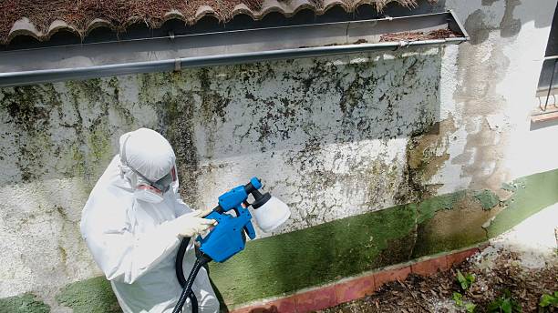 Top rated local Attic Mold Remediation specialists in Saluda, VA
